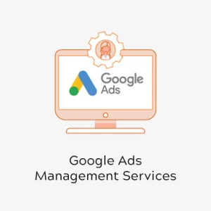 Google Ads management services